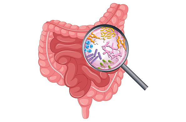 Understanding Diarrhoea