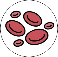 Anaemia due to nutrient deficiencies